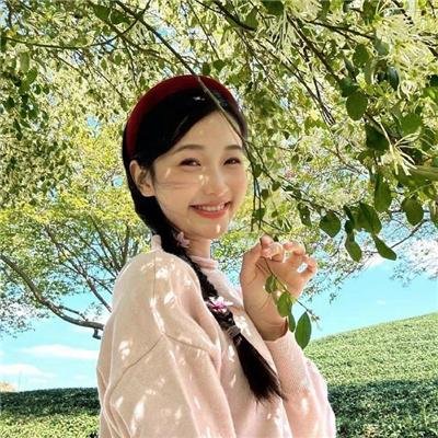 诱饵2019