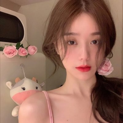 小小迪特想要飞